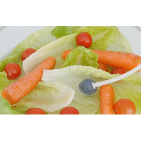 OUTLET ECODE® Générateur d'ozone portable, Télécommande, programmable, purificateur d'eau, ozoniseur alimentaire plus 500 mg / h