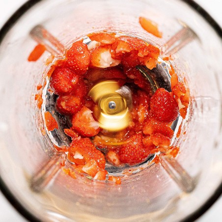 OUTLET ECODE® American Glass Blender Titanblade Evolution