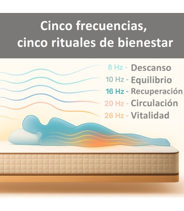 ECODE® ECO-AM Matelas viscoélastique Massager Alpes avec 16 vibromoteurs et 2 télécommandes, housse amovible et lavable