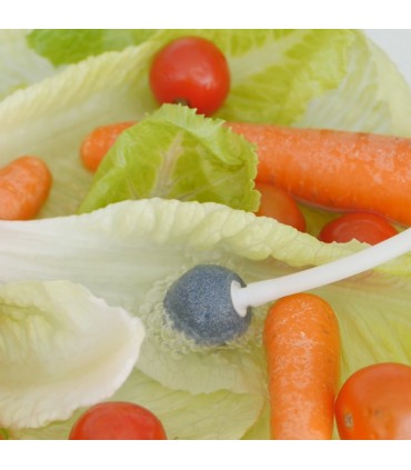 ECODE® Générateur d'ozone portable, Télécommande, programmable, purificateur d'eau, ozoniseur alimentaire plus 500 mg / h