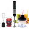 ECODE® Titanmix Evolution 800W Hand Blender