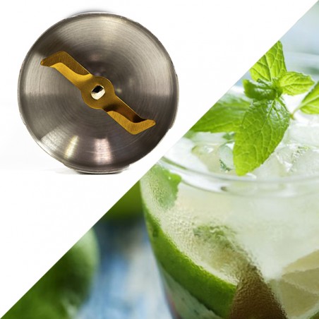 ECODE® Titanmix Evolution 800W Hand Blender